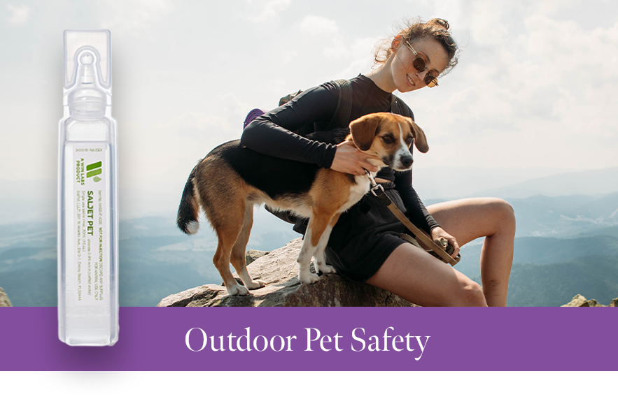 Protect Your Pets from Cuts & Wounds in the Wild