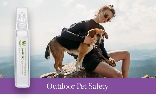Protect Your Pets from Cuts & Wounds in the Wild