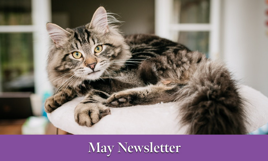 May Newsletter