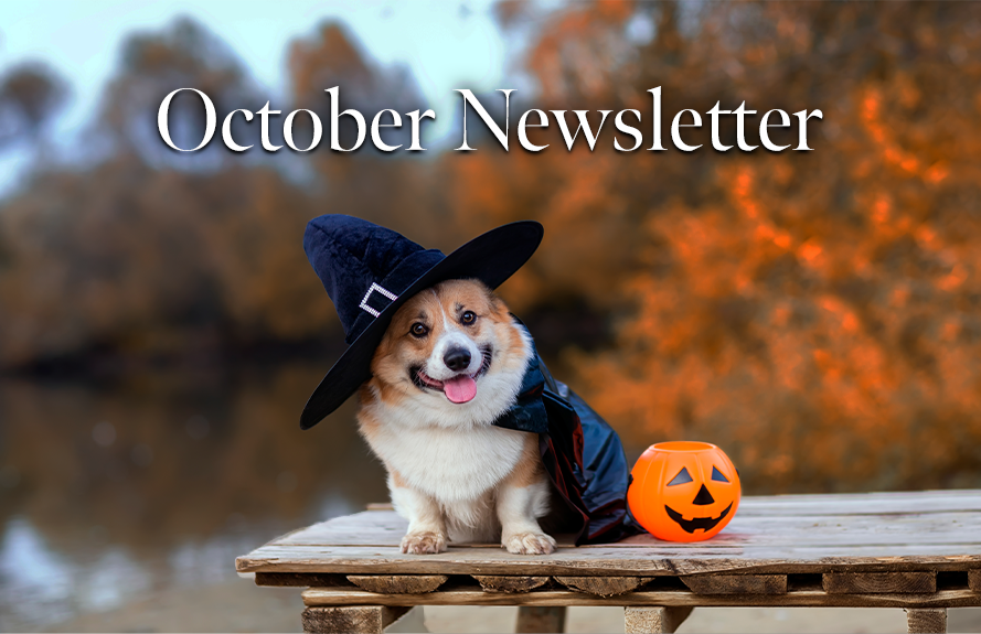 October Newsletter