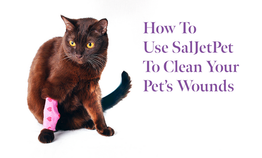 How To Use SalJetPet