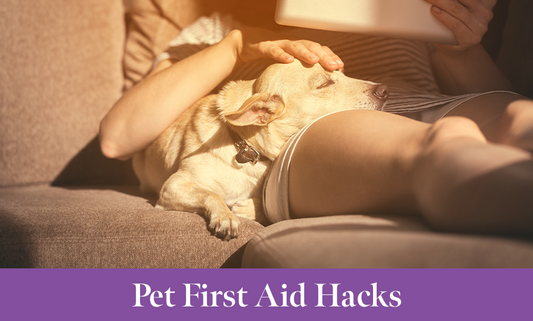 Pet First Aid Hacks