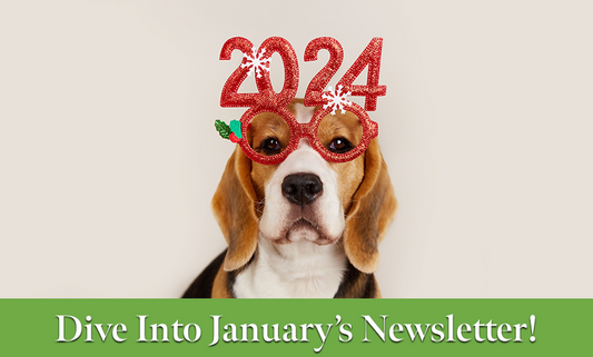 January Newsletter