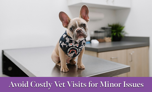 Don’t Let Minor Issues Become Major Traumas