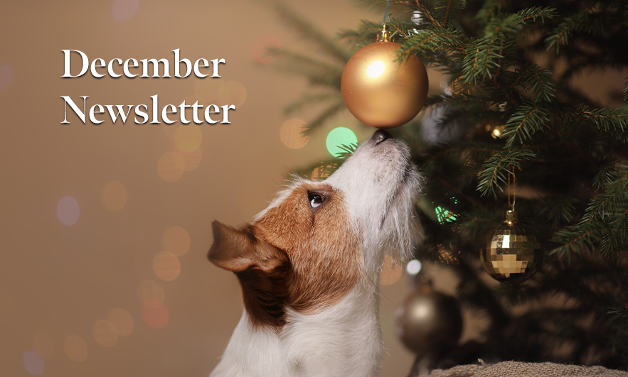December Newsletter
