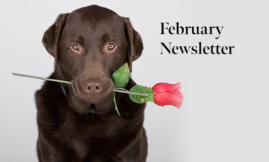 February Newsletter