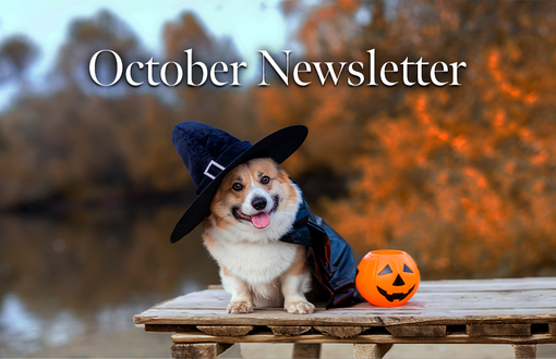 October Newsletter