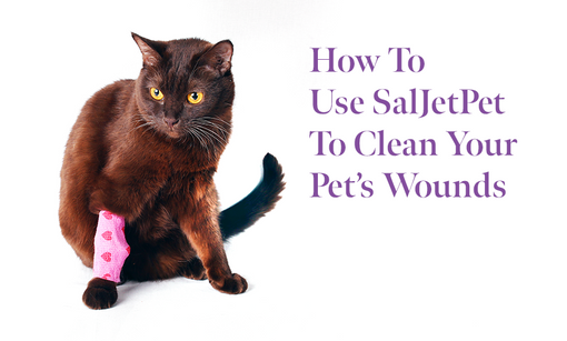 How To Use SalJetPet