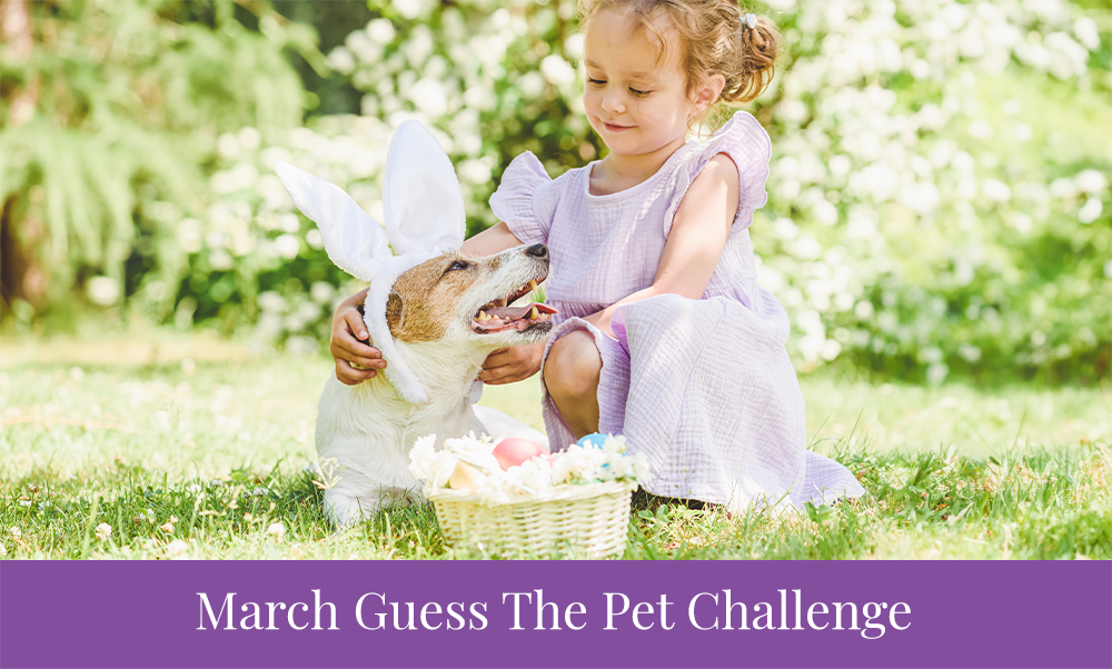 March Guess the Pet Challenge